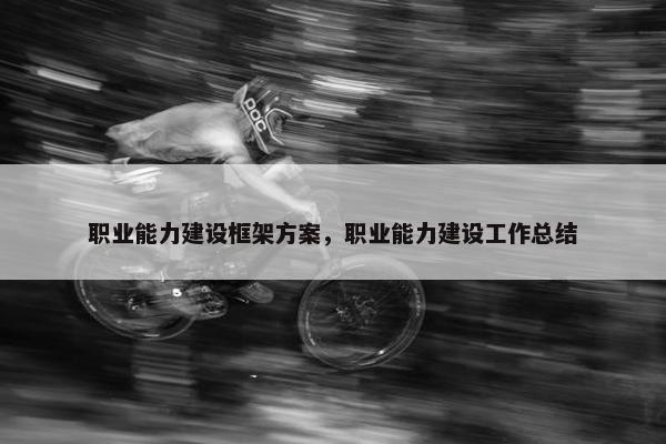 职业能力建设框架方案，职业能力建设工作总结
