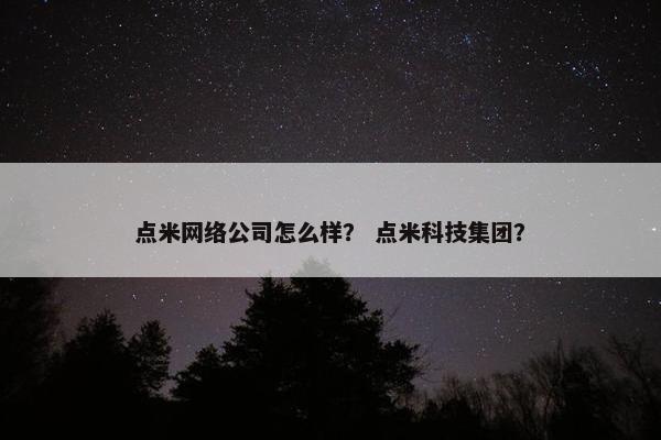 点米网络公司怎么样？ 点米科技集团？