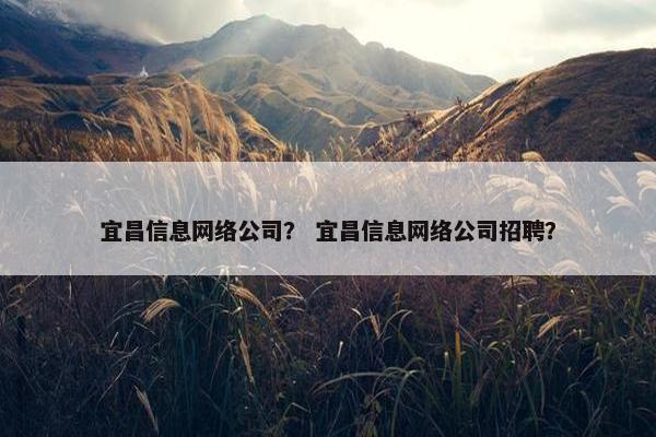 宜昌信息网络公司？ 宜昌信息网络公司招聘？