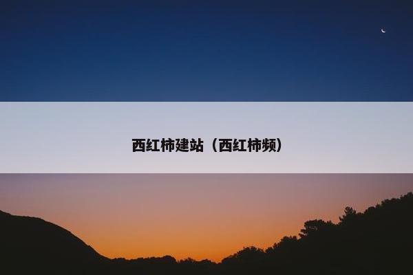 西红柿建站（西红柿频）