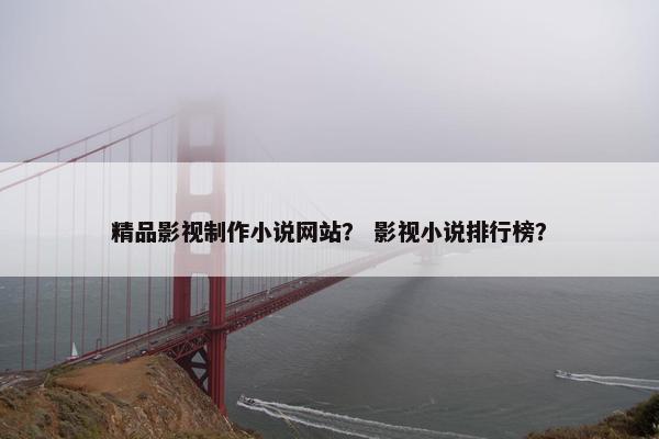 精品影视制作小说网站？ 影视小说排行榜？