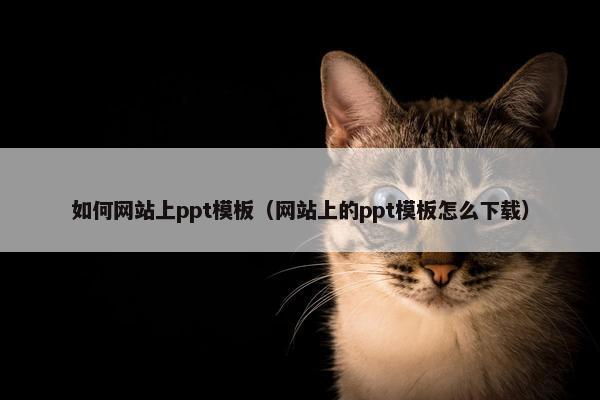 如何网站上ppt模板（网站上的ppt模板怎么下载）