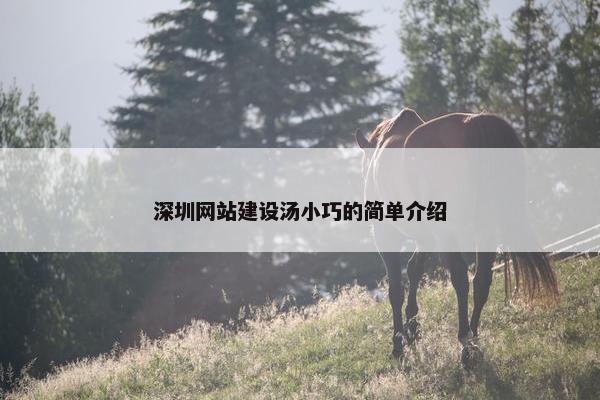 深圳网站建设汤小巧的简单介绍