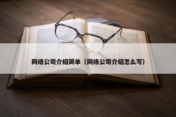 网络公司介绍简单（网络公司介绍怎么写）