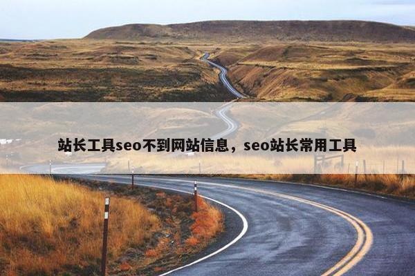 站长工具seo不到网站信息，seo站长常用工具