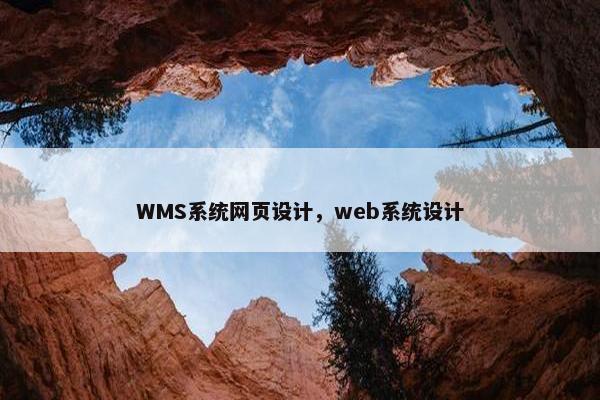 WMS系统网页设计，web系统设计