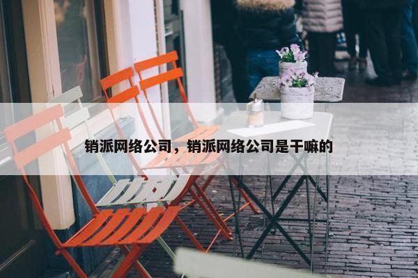 销派网络公司，销派网络公司是干嘛的