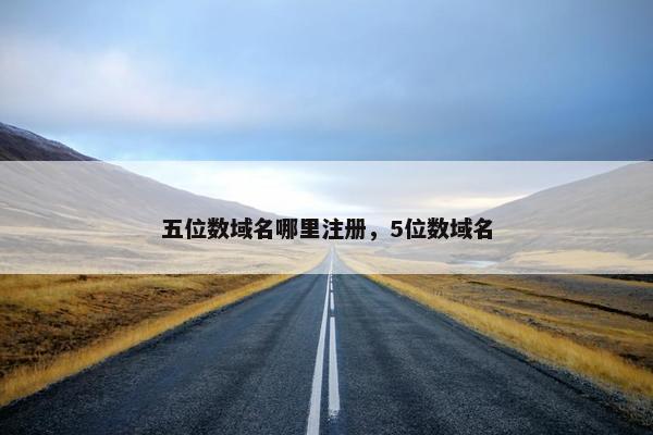 五位数域名哪里注册，5位数域名