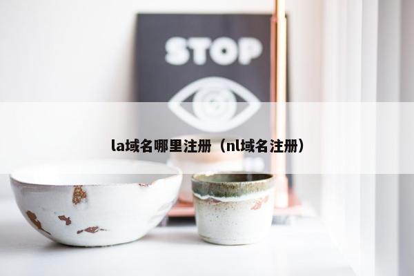 la域名哪里注册（nl域名注册）