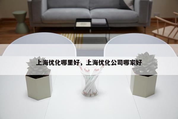 上海优化哪里好，上海优化公司哪家好