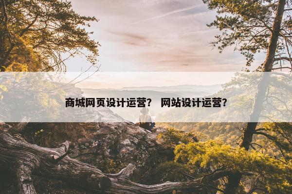 商城网页设计运营？ 网站设计运营？