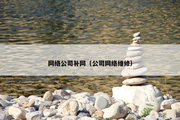 网络公司补网（公司网络维修）