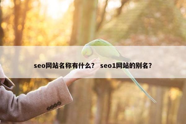 seo网站名称有什么？ seo1网站的别名？