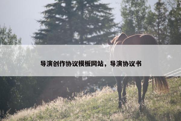 导演创作协议模板网站，导演协议书