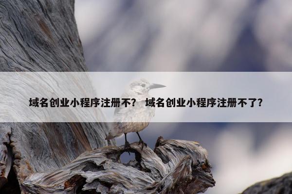 域名创业小程序注册不？ 域名创业小程序注册不了？