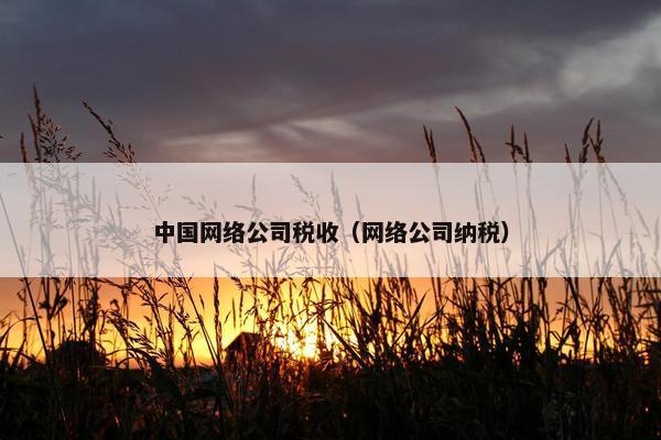 中国网络公司税收（网络公司纳税）
