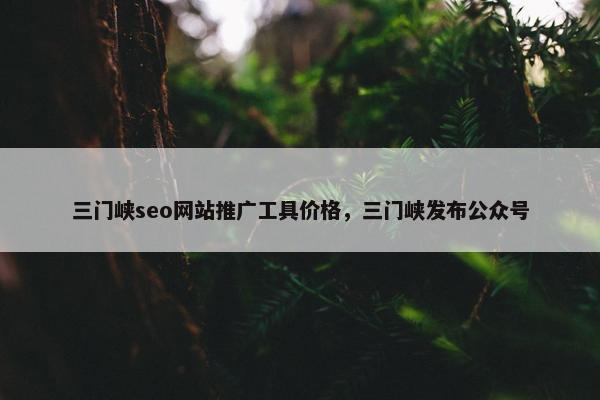 三门峡seo网站推广工具价格，三门峡发布公众号