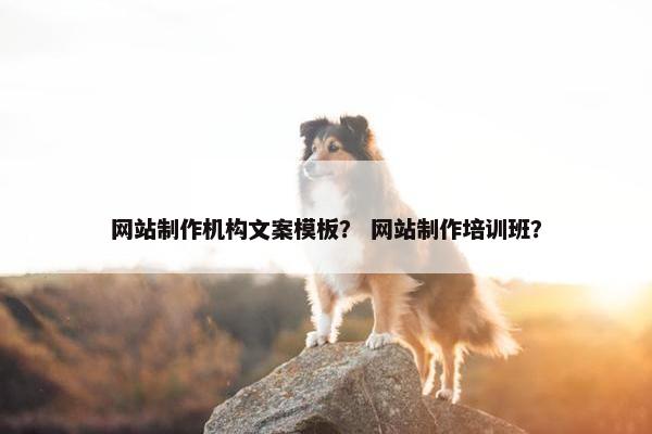 网站制作机构文案模板？ 网站制作培训班？