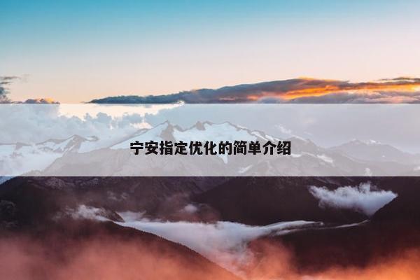 宁安指定优化的简单介绍