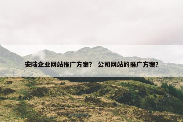 安陆企业网站推广方案？ 公司网站的推广方案？