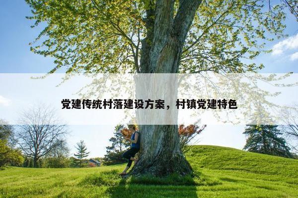 党建传统村落建设方案，村镇党建特色