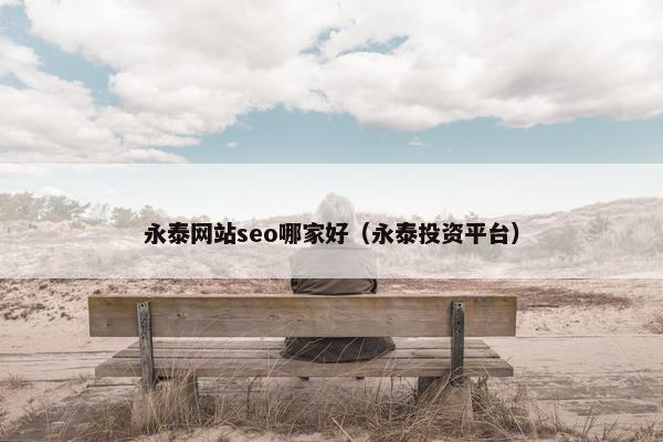 永泰网站seo哪家好（永泰投资平台）