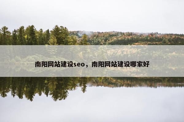 南阳网站建设seo，南阳网站建设哪家好