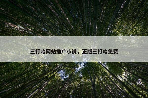 三打哈网站推广小说，正版三打哈免费
