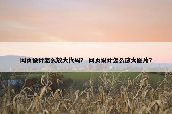 网页设计怎么放大代码？ 网页设计怎么放大图片？