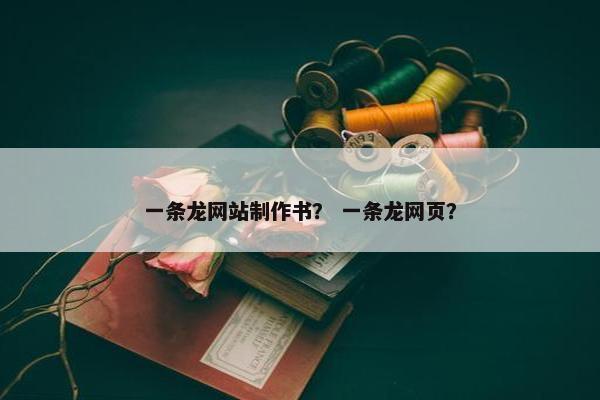 一条龙网站制作书？ 一条龙网页？