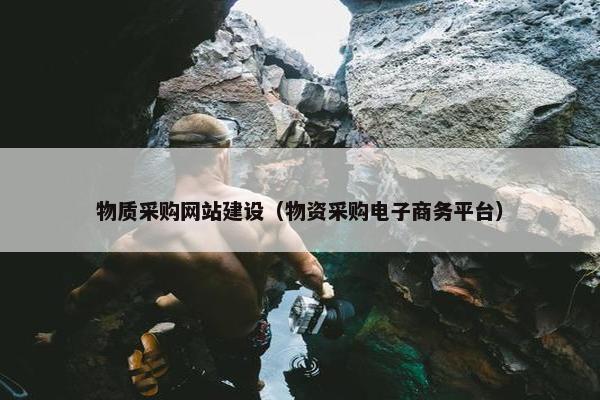物质采购网站建设（物资采购电子商务平台）