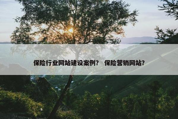 保险行业网站建设案例？ 保险营销网站？