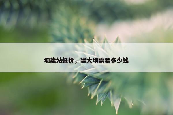 坝建站报价，建大坝需要多少钱