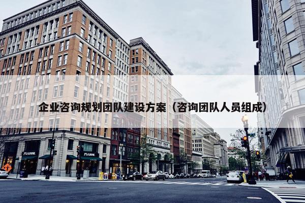 企业咨询规划团队建设方案（咨询团队人员组成）
