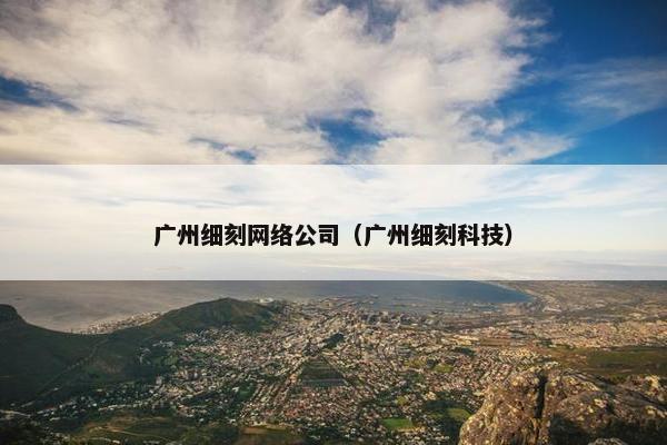广州细刻网络公司（广州细刻科技）