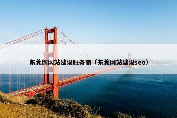 东莞微网站建设服务商（东莞网站建设seo）