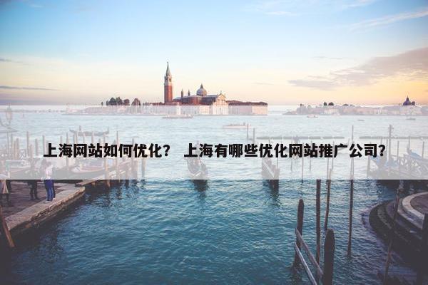 上海网站如何优化？ 上海有哪些优化网站推广公司？