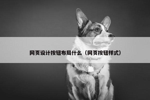 网页设计按钮布局什么（网页按钮样式）