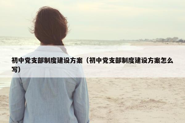 初中党支部制度建设方案（初中党支部制度建设方案怎么写）