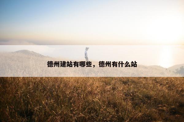 德州建站有哪些，德州有什么站