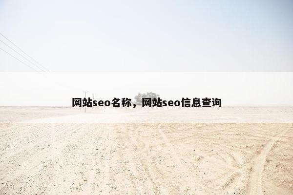 网站seo名称，网站seo信息查询