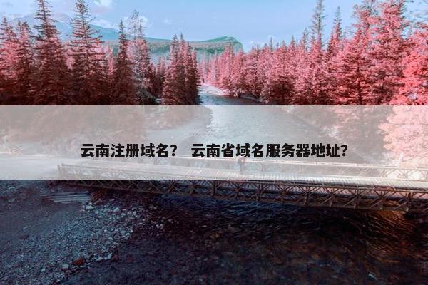 云南注册域名？ 云南省域名服务器地址？