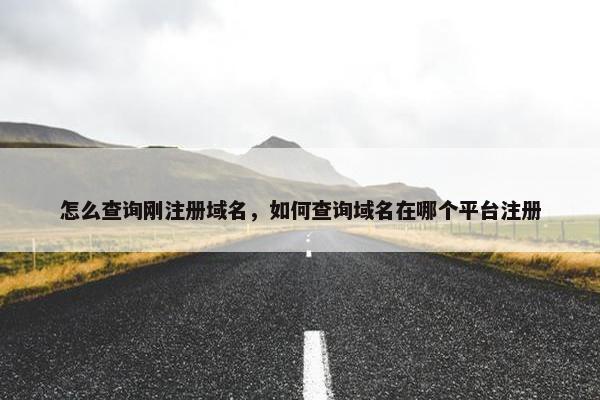 怎么查询刚注册域名，如何查询域名在哪个平台注册