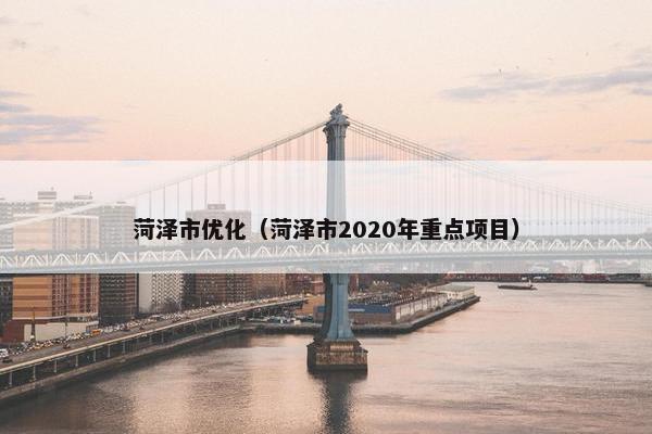菏泽市优化（菏泽市2020年重点项目）