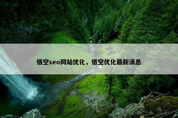悟空seo网站优化，悟空优化最新消息