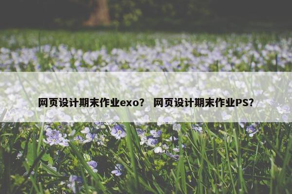 网页设计期末作业exo？ 网页设计期末作业PS？