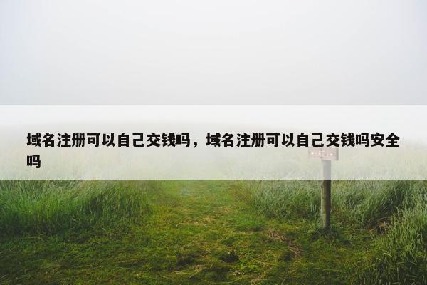 域名注册可以自己交钱吗，域名注册可以自己交钱吗安全吗