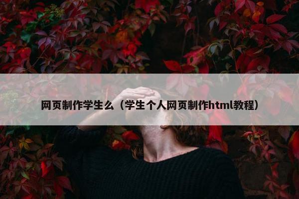 网页制作学生么（学生个人网页制作html教程）