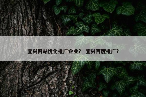 宜兴网站优化推广企业？ 宜兴百度推广？