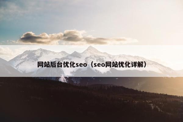 网站后台优化seo（seo网站优化详解）